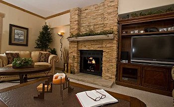 LivingRoomFireplace2